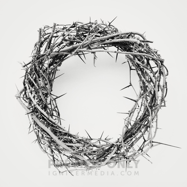 A Crown Of Thorns Isolated On White Stock Photos Prixel Creative