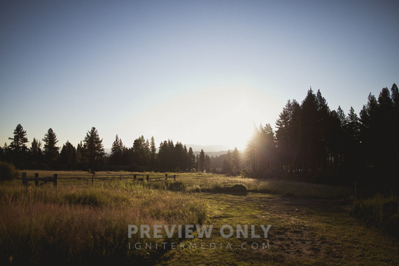 The Sun Shining Through Pine Trees On A Ranch Stock Photos Menary