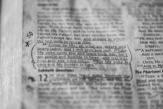 weathered-bible-with-matthew-11-28-30-underlined-in-ink-stock-photos