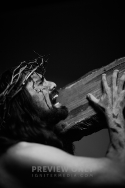 The Suffering Of Christ -- Jesus Crying In Pain While Wearing His Crown ...