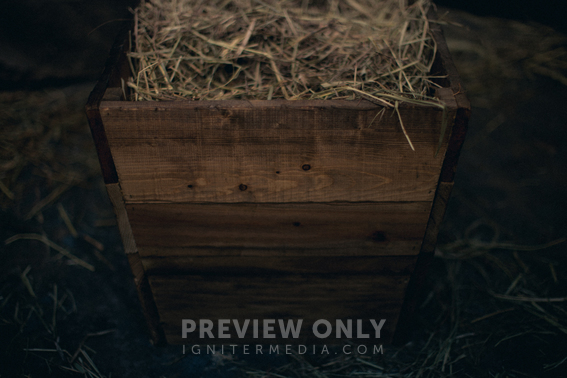 Close Up View Of The Manger Filled With Hay - Stock Photos | Pearl