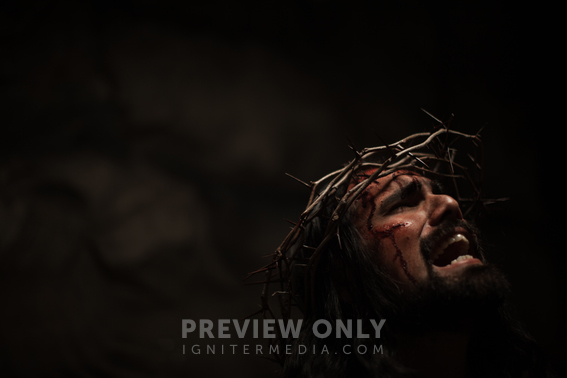 the-suffering-of-christ-jesus-crying-in-pain-while-wearing-his-crown