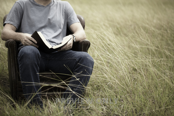 A Young Man Studies The Bible In A Grassy Field. - Stock Photos | Pearl