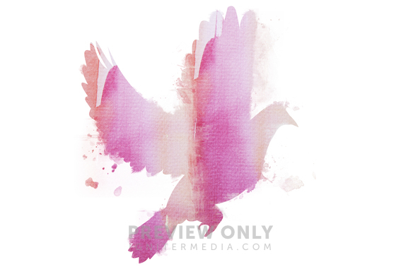 Dove In Water Color - Stock Photos | Prixel Creative