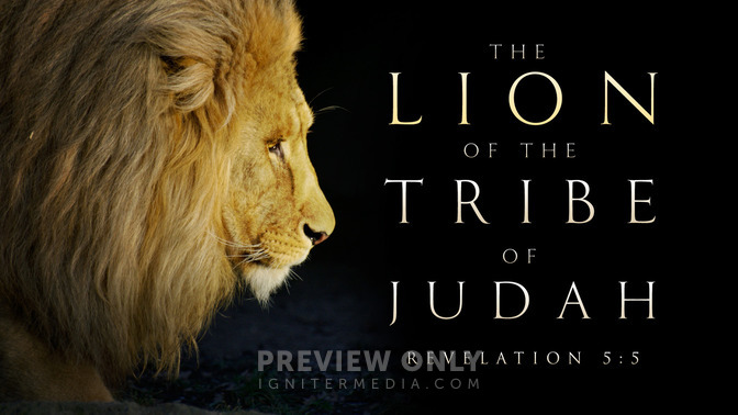 The Lion of the Tribe of Judah - Title Graphics | Igniter Media