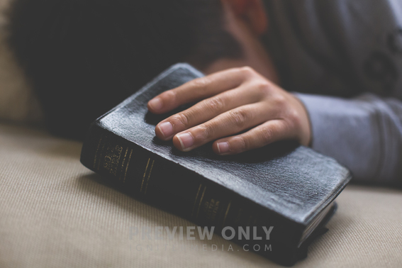 a-boy-who-fell-asleep-holding-a-bible-stock-photos-neely-wang