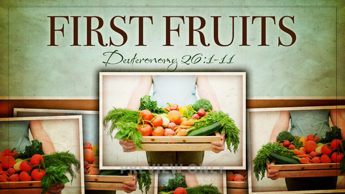 First Fruits - Title Graphics | Igniter Media