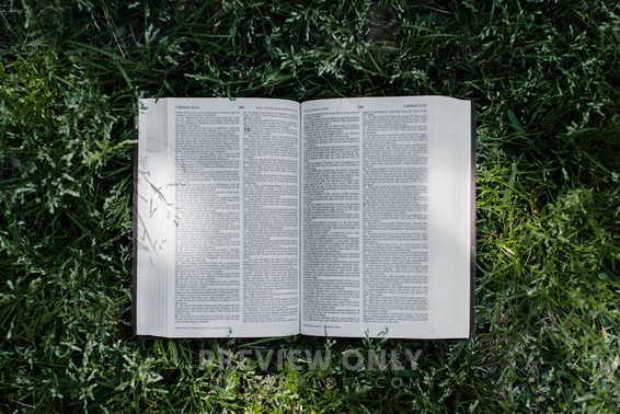 Open Bible In Grass - Stock Photos | The Visual Folk