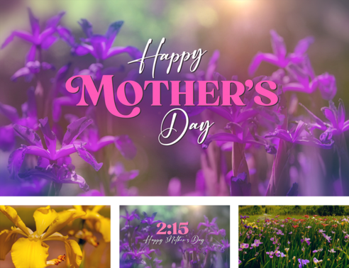 Mother's Day Garden - Collections | Life Scribe Media