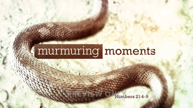 murmuring-moments-title-graphics-igniter-media