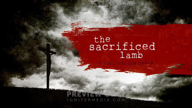 The Sacrificed Lamb - Title Graphics | Igniter Media