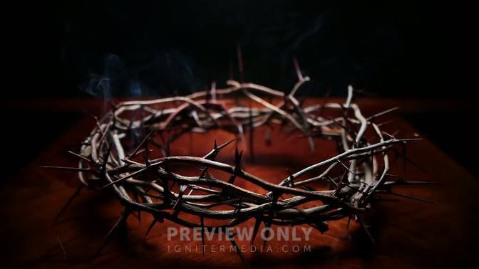 Crown Of Thorns Smoking - Shoots | James Grocho