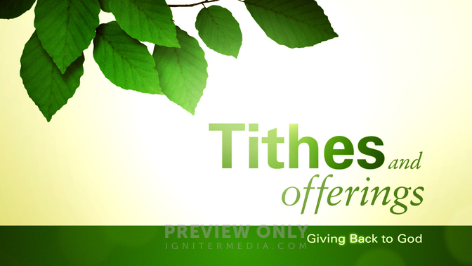 Spring Leaves - Tithes and Offerings - Title Graphics | Igniter Media