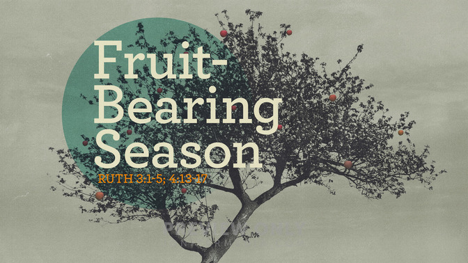 Fruit-Bearing Season - Title Graphics | Igniter Media