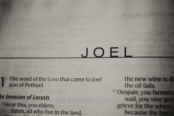 Open Bible In Book Of Joel - Stock Photos | Menary Studio