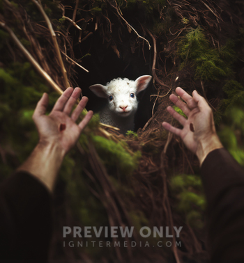 Jesus Reaching To Pick Up A Lost Lamb - Stock Photos | Kevin Carden