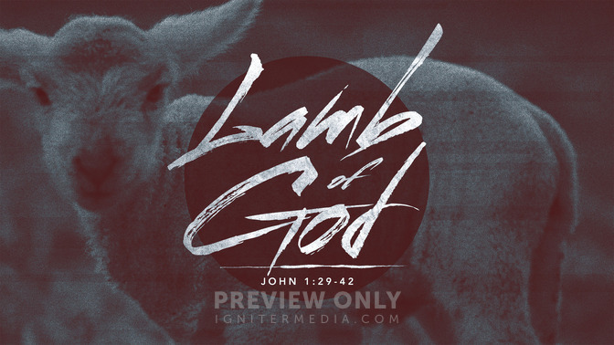 Lamb of God - Title Graphics | Igniter Media