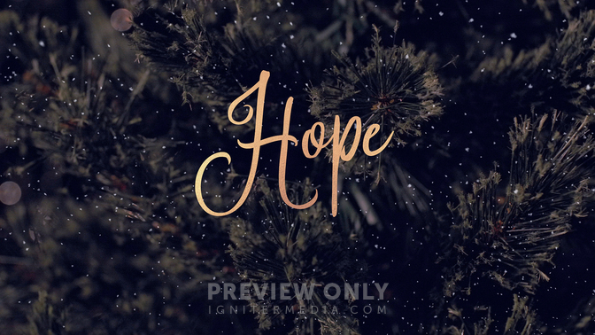 Christmas Tree - Hope - Title Graphics | Life Scribe Media