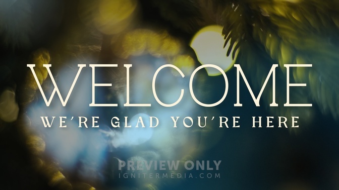 Bright and Beautiful - Welcome - Title Graphics | Timber and Pearl