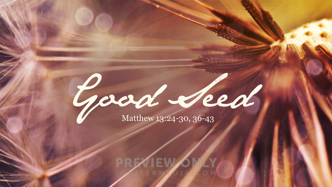 Good Seed - Title Graphics | Igniter Media