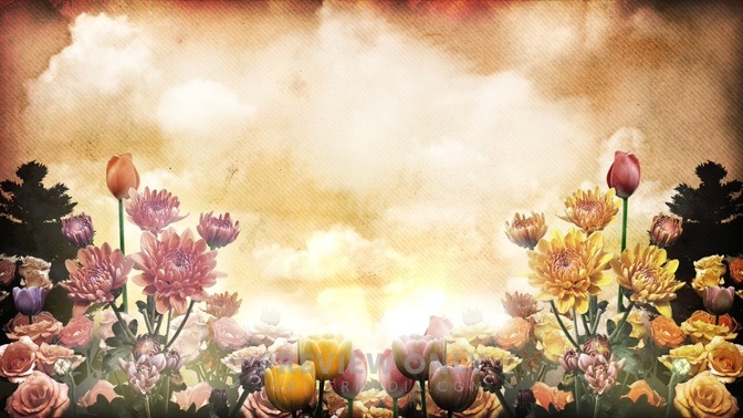 Spring Flowers 1a - Worship Backgrounds | Igniter Media