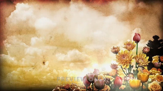 Spring Flowers 1b - Worship Backgrounds | Igniter Media