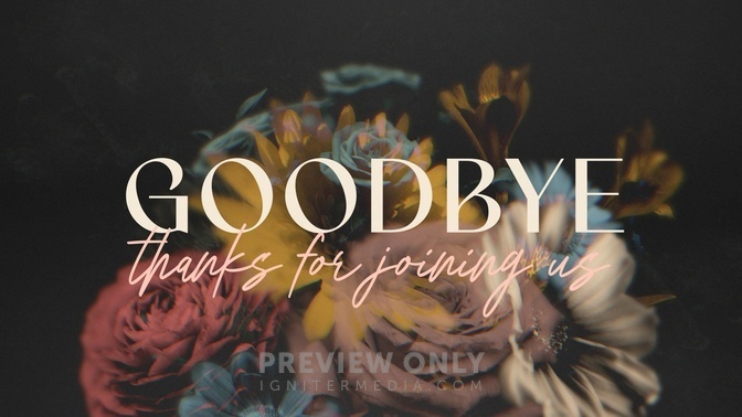 Deep Beauty Goodbye Title Graphics Timber And Pearl