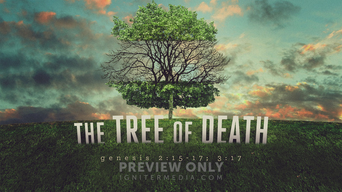 The Tree of Death - Title Graphics | Igniter Media