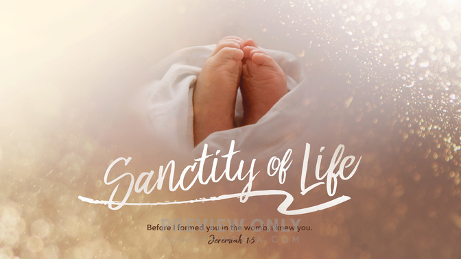 Sanctity of Life - Title Graphics | Igniter Media