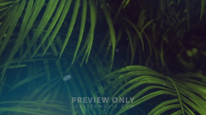 Palm Sunday - 4 - Worship Backgrounds | Centerline New Media