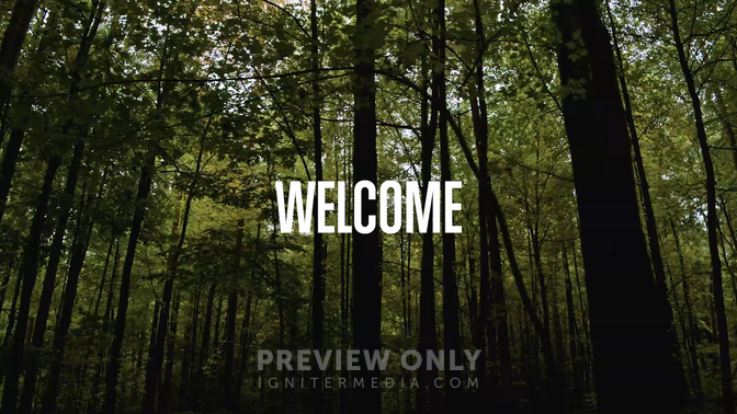 Forest - Welcome - Title Graphics | ProContent