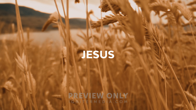 Harvest - Jesus - Title Graphics | ProContent